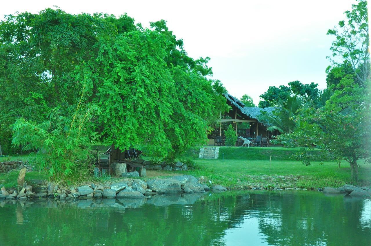 Thuduwa Camp Hotel Embilipitiya Buitenkant foto