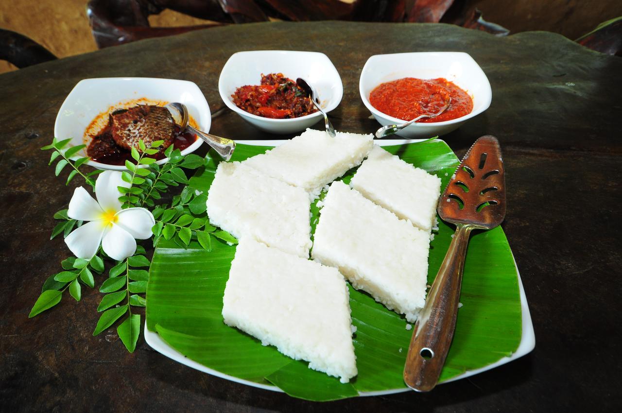 Thuduwa Camp Hotel Embilipitiya Buitenkant foto